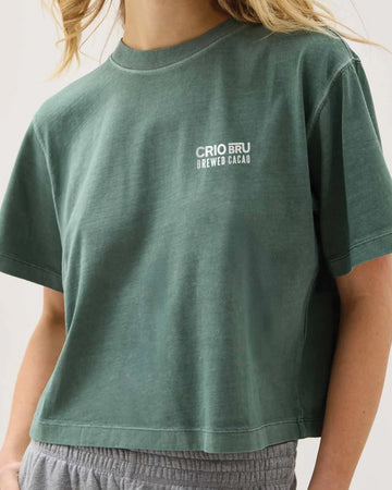 Branded Women’s Relaxed Crop Tee - Sage