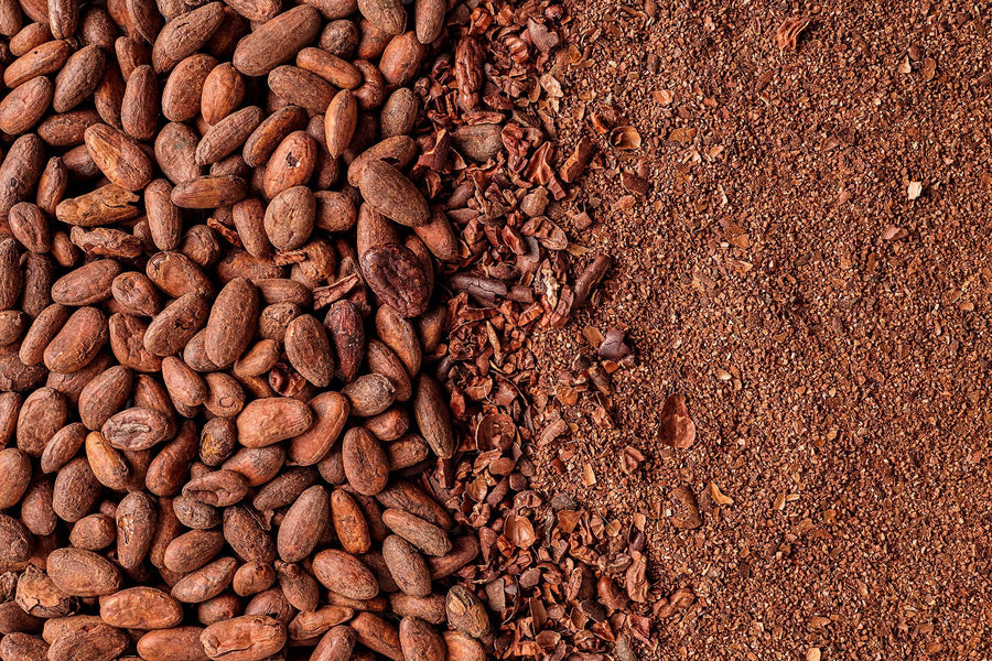 NEW! Limited Edition Hazelnut Light Roast