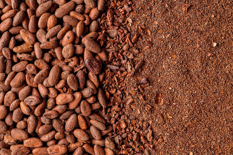 Nicaragua - Medium Roast 24 oz. (1.5 lb) Subscription